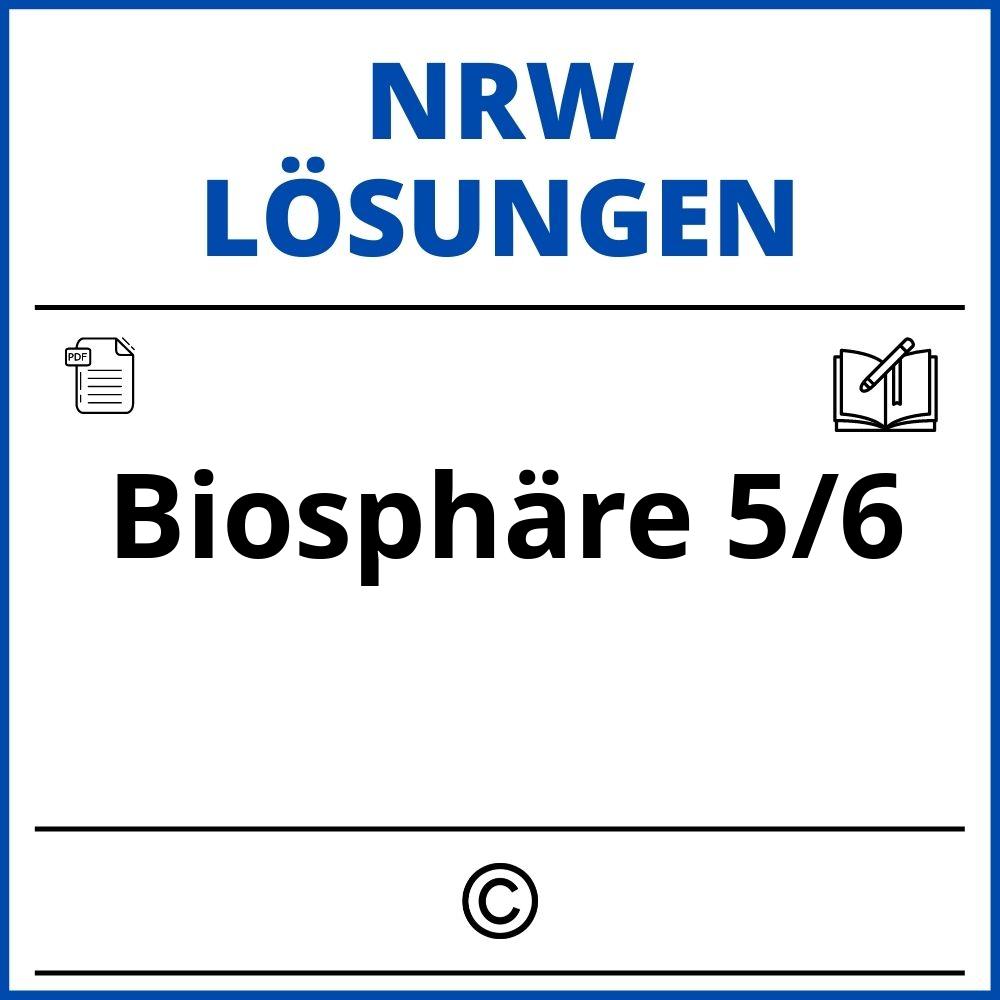 Biosphäre 5/6 Lösungen Nrw